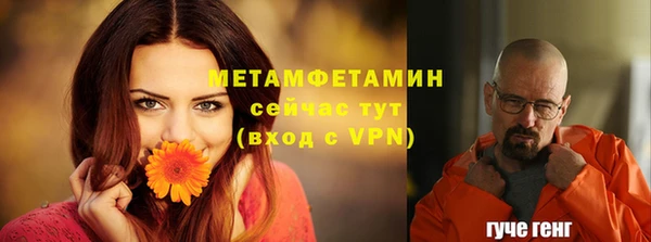 стаф Осинники