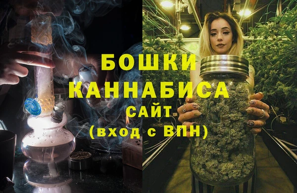 PSILOCYBIN Заречный