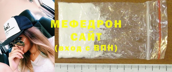 сатива Новозыбков